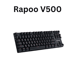 Rapoo V500