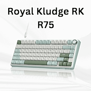 Royal Kludge RK R75